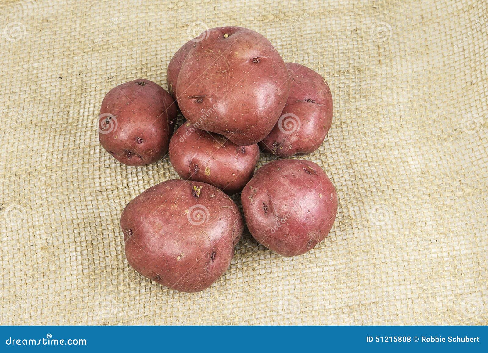 Red Skin Potatoes stock photo. Image of root, nature - 51215808