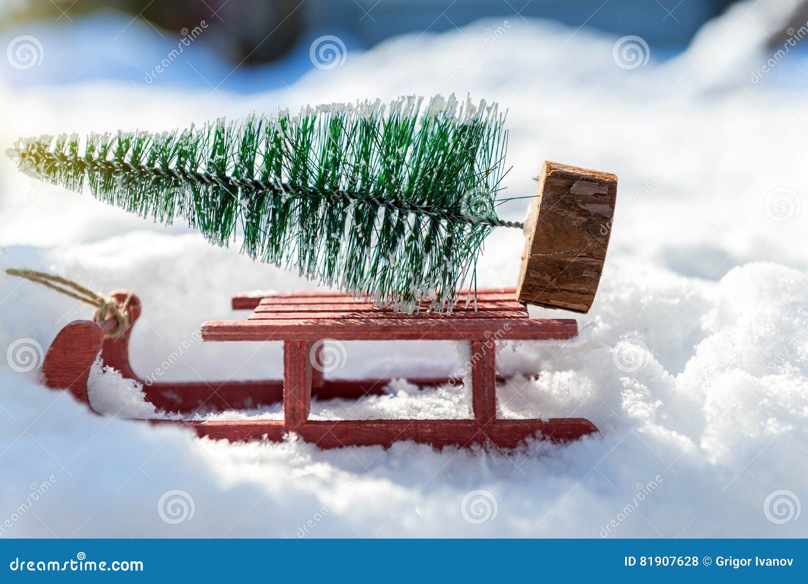 Red Sleigh Carrying a Small Christmas Tree Stock Photo Image of sleigh, space 81907628