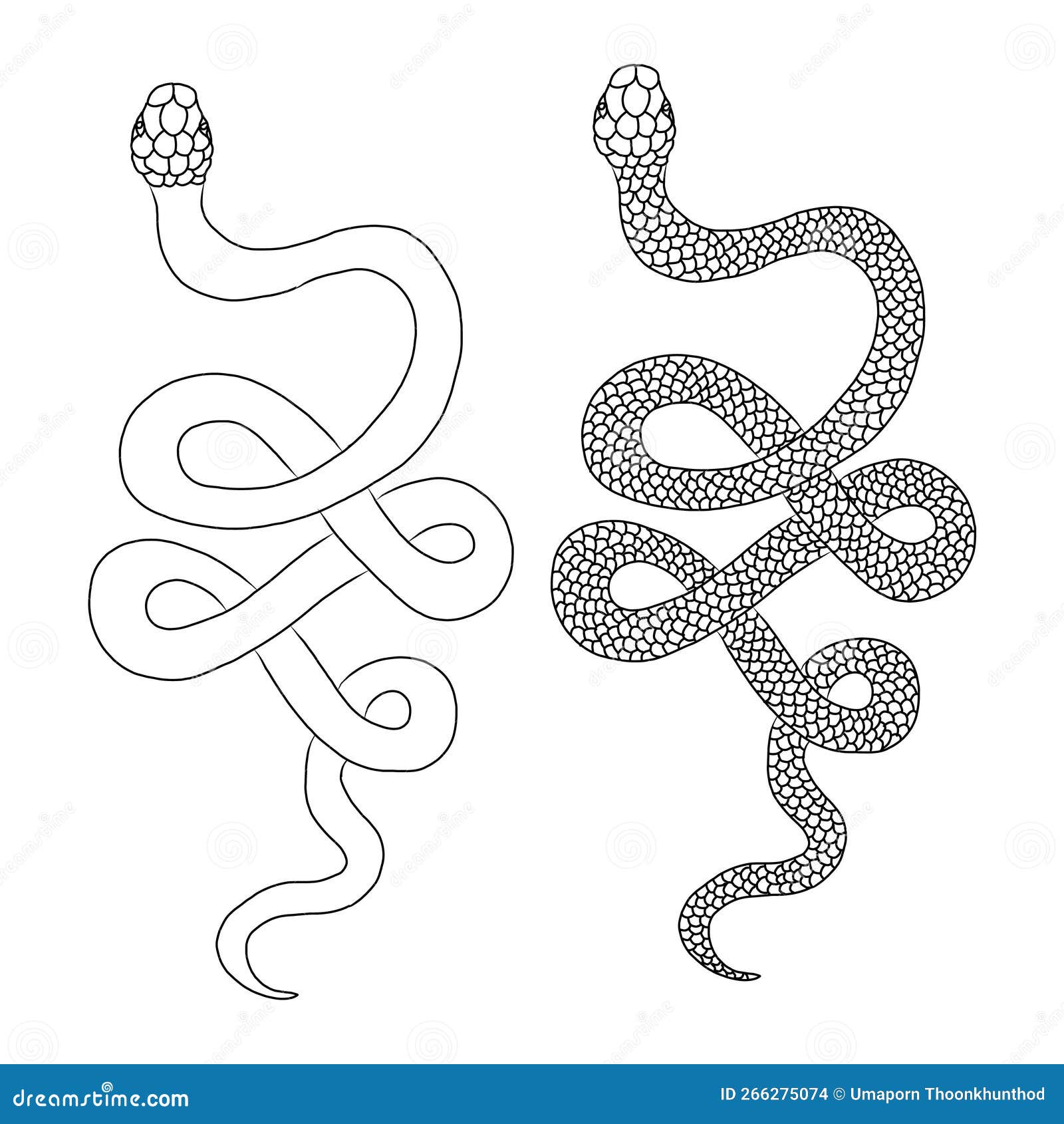 Snake with Roses Tattoo Stencil Vector Stamp Illustration Coloring