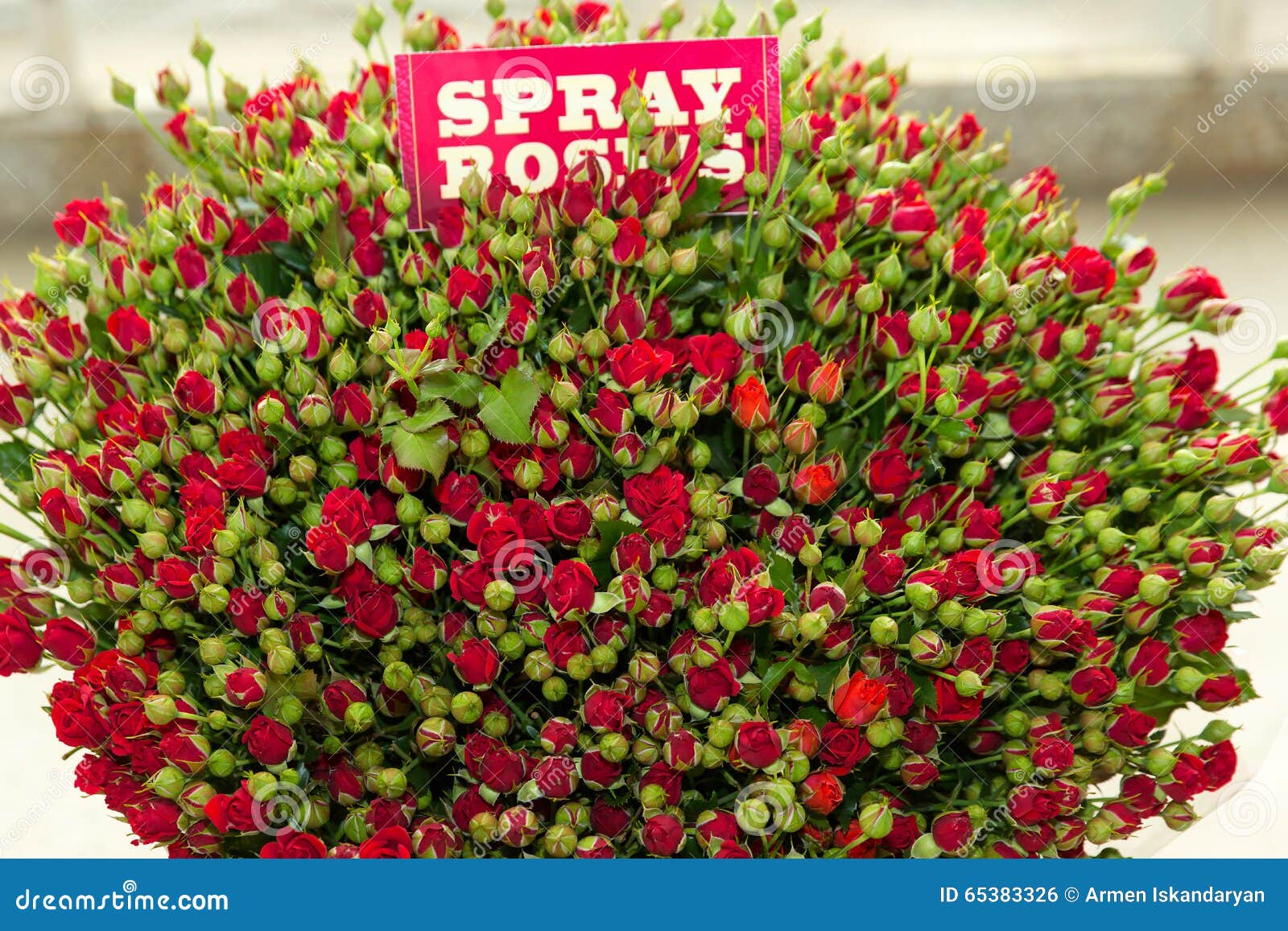 Red spray rose bouquet stock photo. Image of bloom, stem 65383326