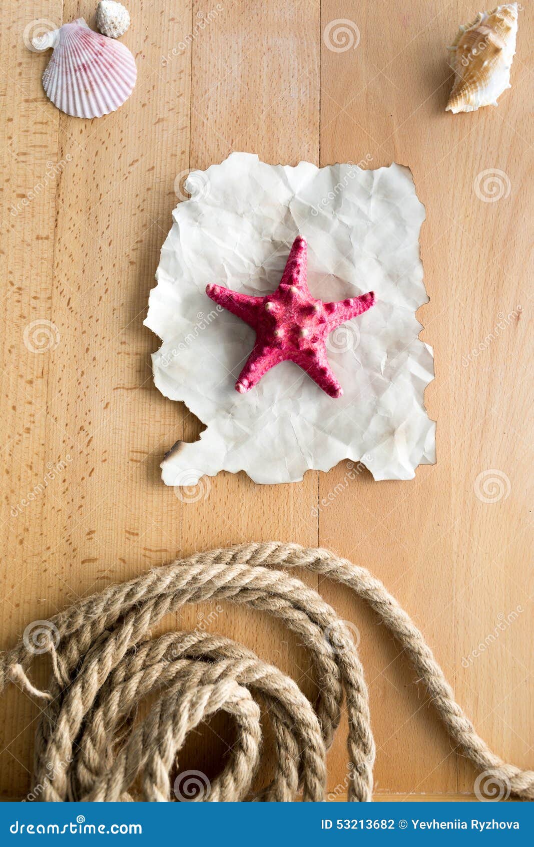 Essay on starfish