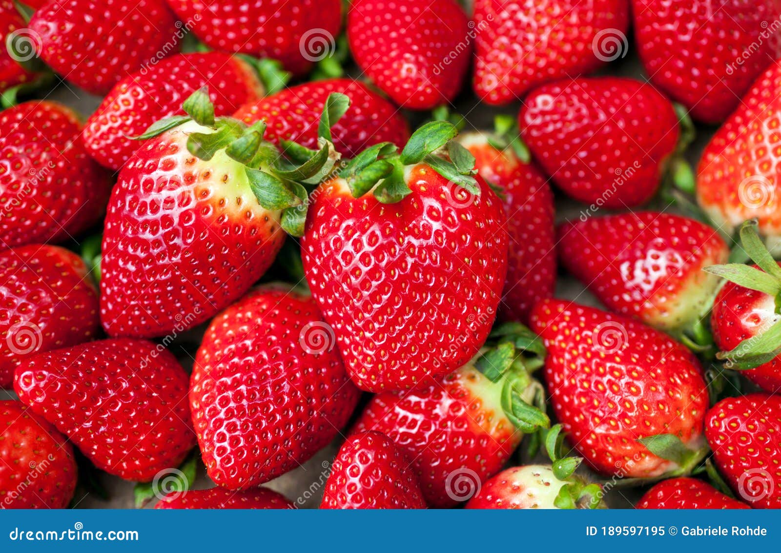 Red Strawberries Background Stock Image Image of strawberry