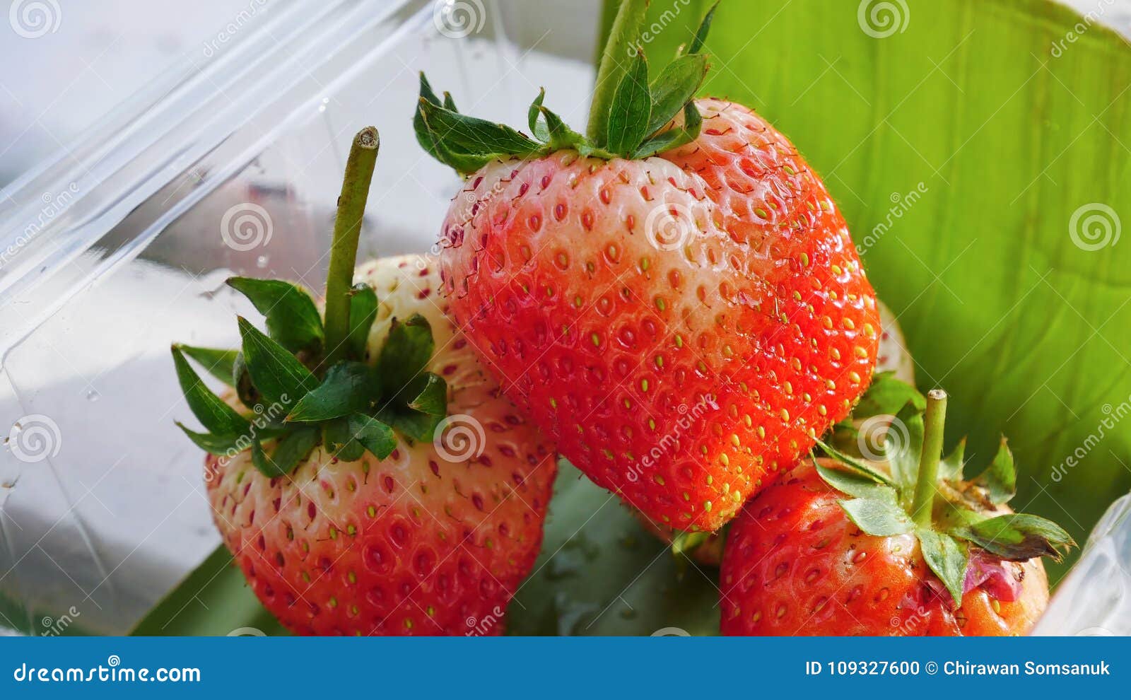 Red strawberry background. stock photo. Image of fresh 109327600