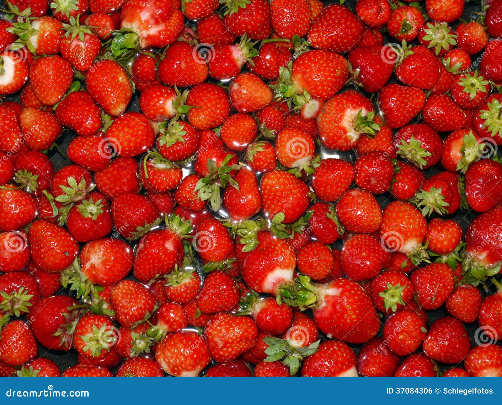 Red strawberry background stock photo. Image of strawberries 37084306