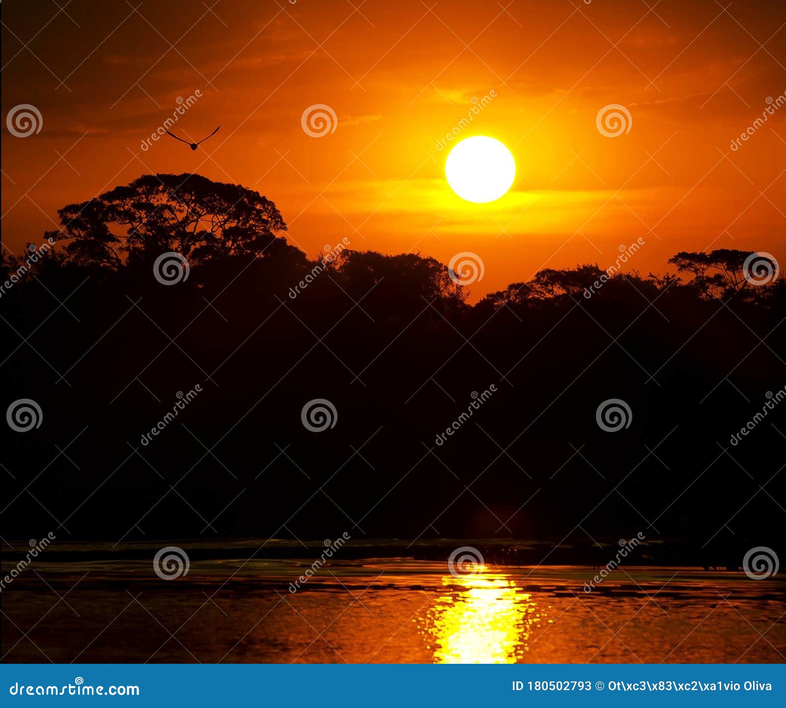 a red sunset at piquiri river, in pantanal, brazil.