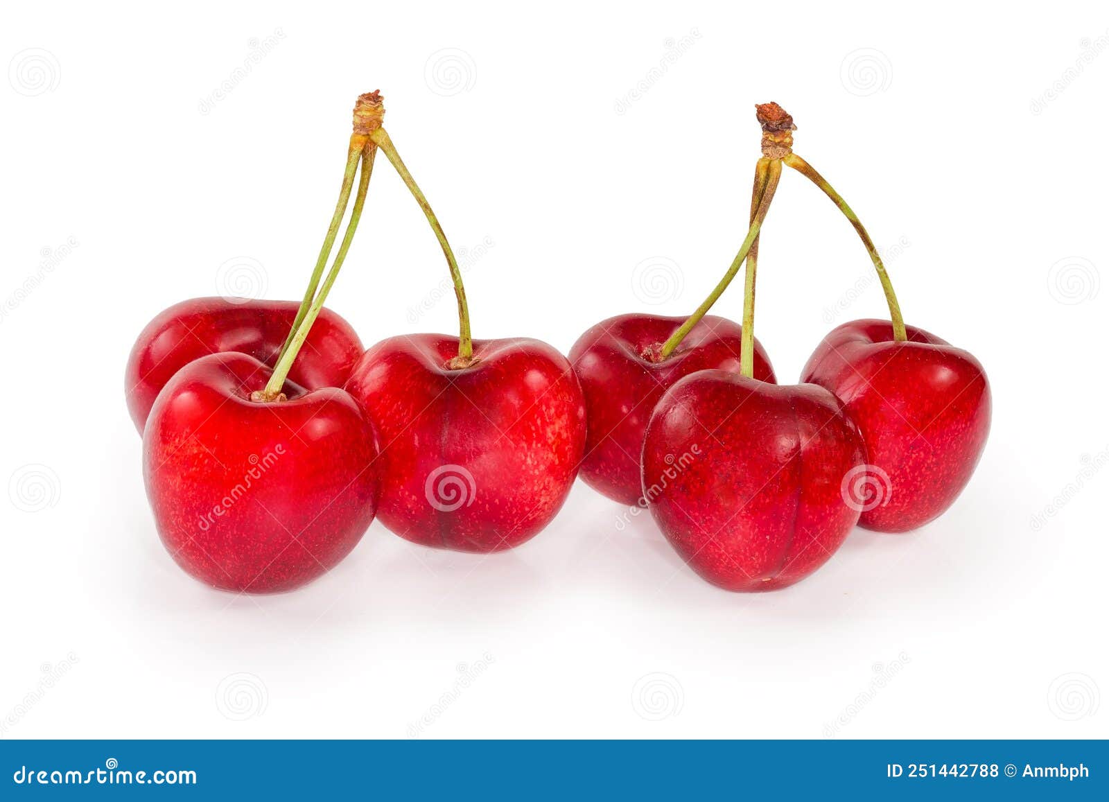 Red Sweet Cherries on Twigs on White Background Close-up Stock Photo ...