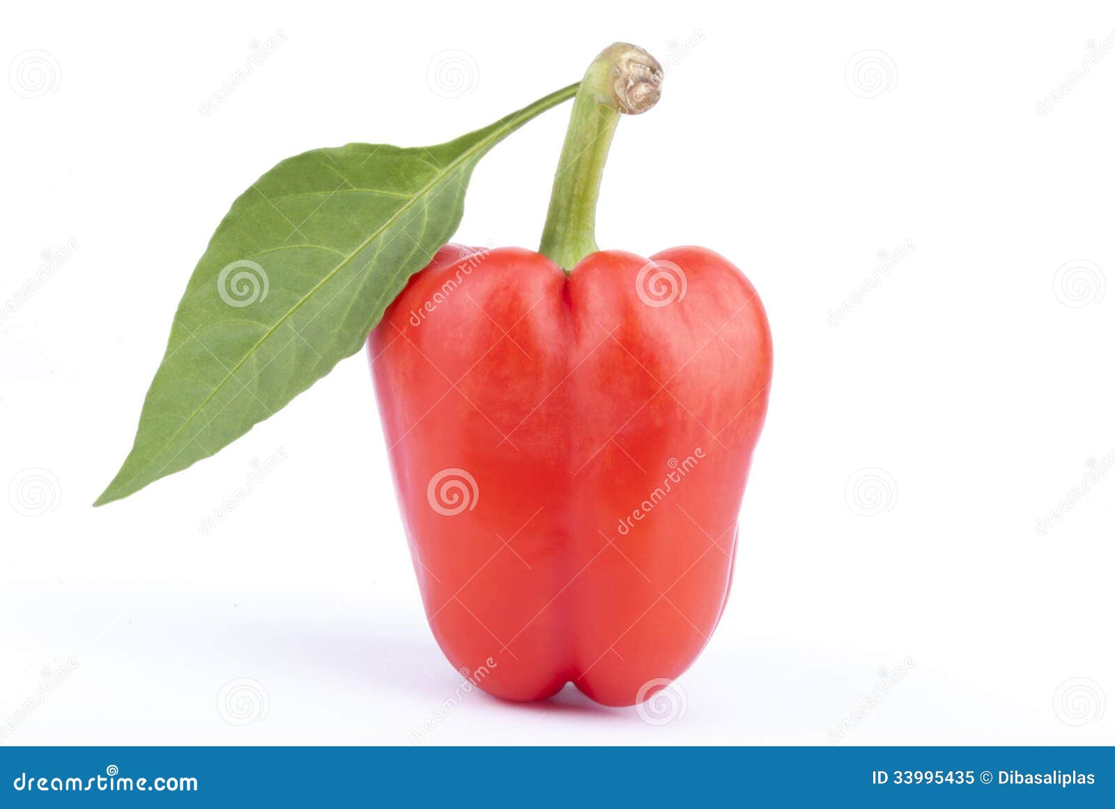 Red sweet pepper with leaf stock image. Image of sweet 33995435