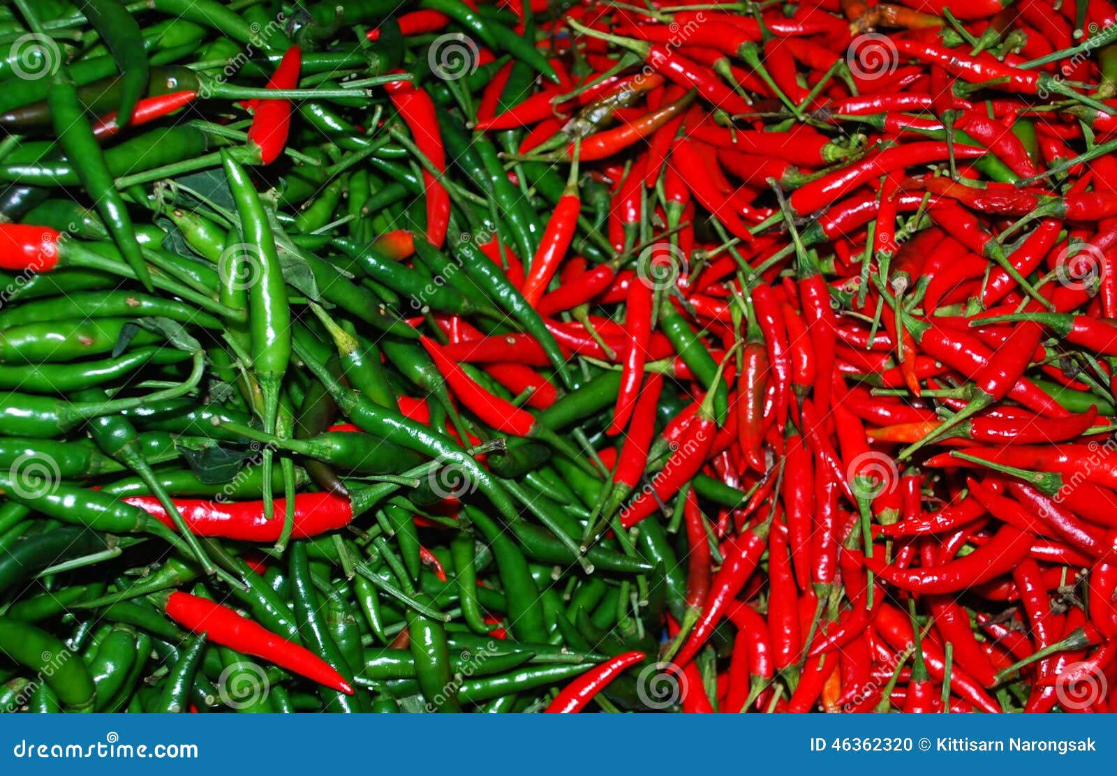 Green and Red Thai paprika stock photo. Image of color 46362320