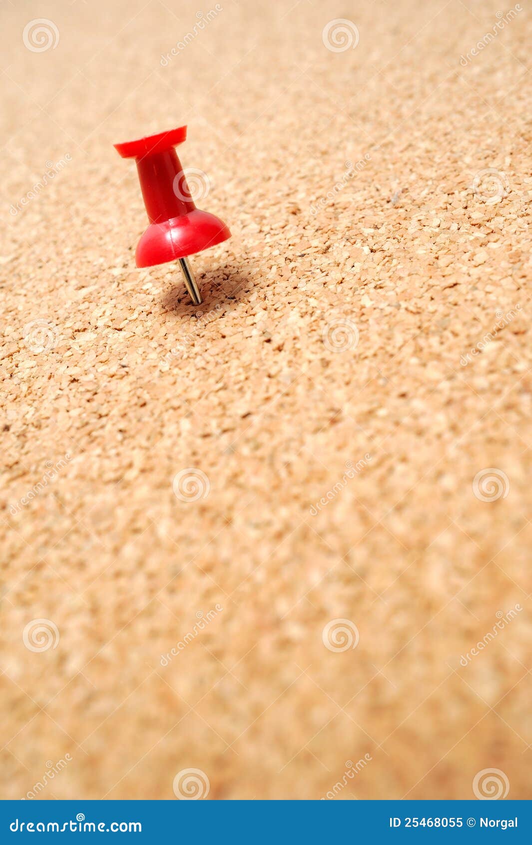 Red Thumbtack on Cork Board Stock Image Image of memo, stationary