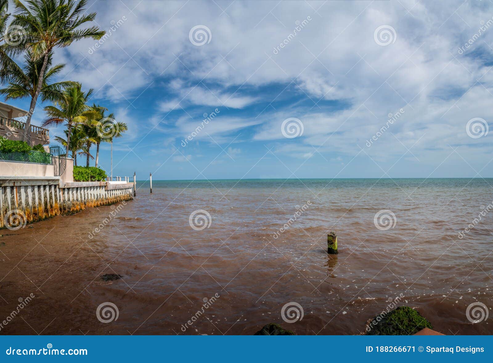 red tide in summer season. harmful algal bloom phenomenon in key west, florida