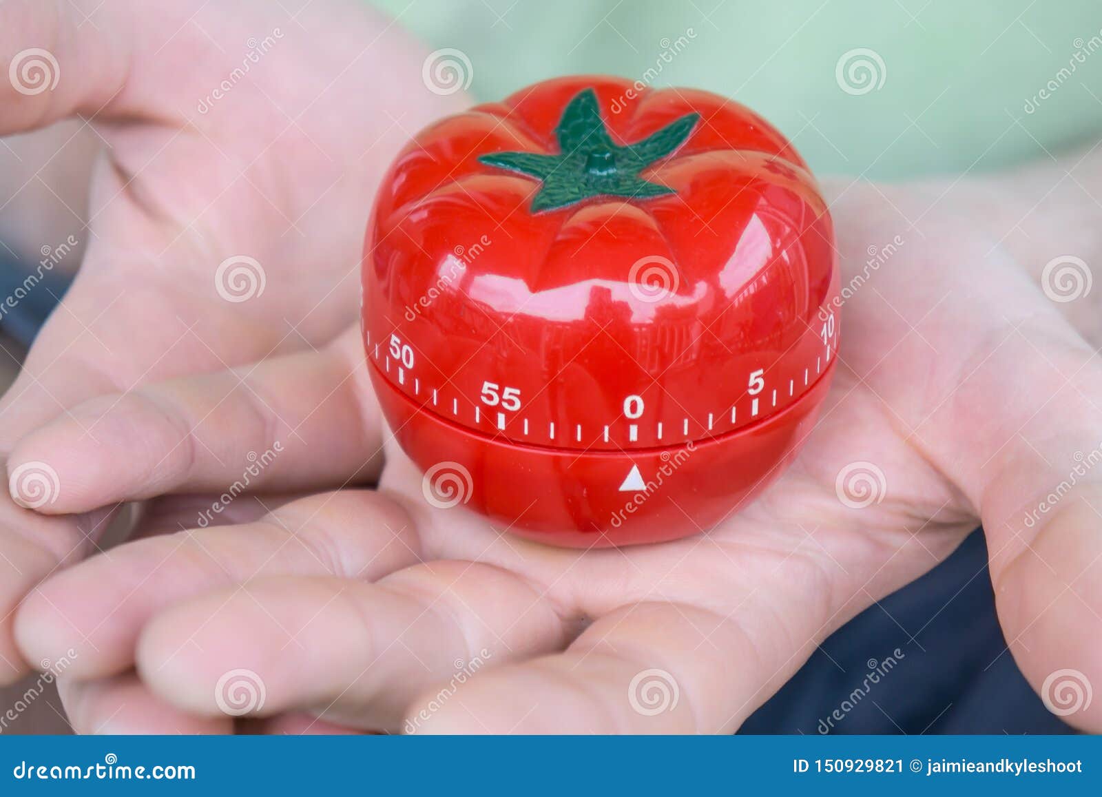 buy tomato timer buy tomato timer