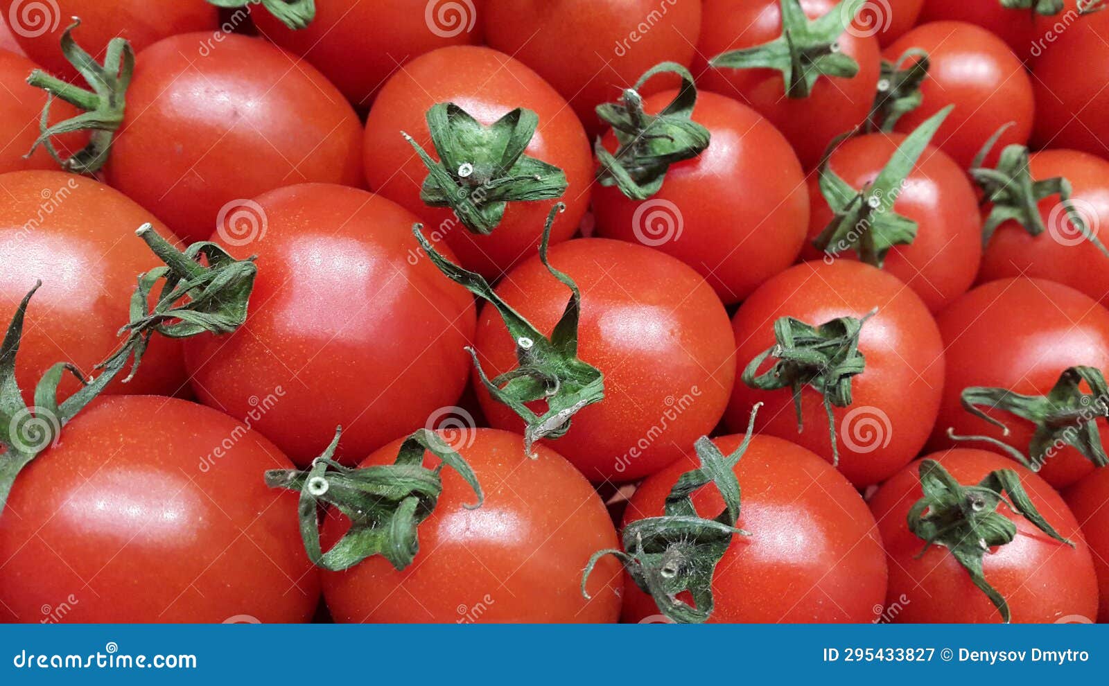 Red Tomatoes. Harvest of Ripe Tomatoes Stock Image Image of organic