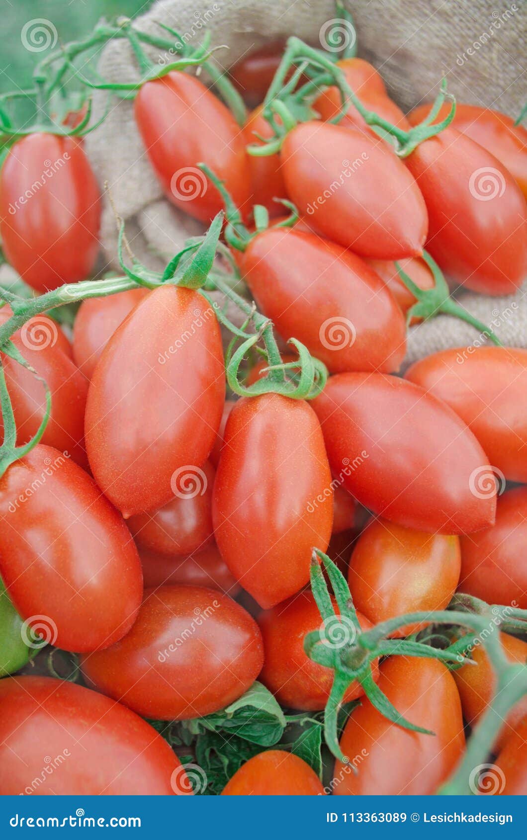 Fresh red plum tomatoes stock image. Image of natural 113363089