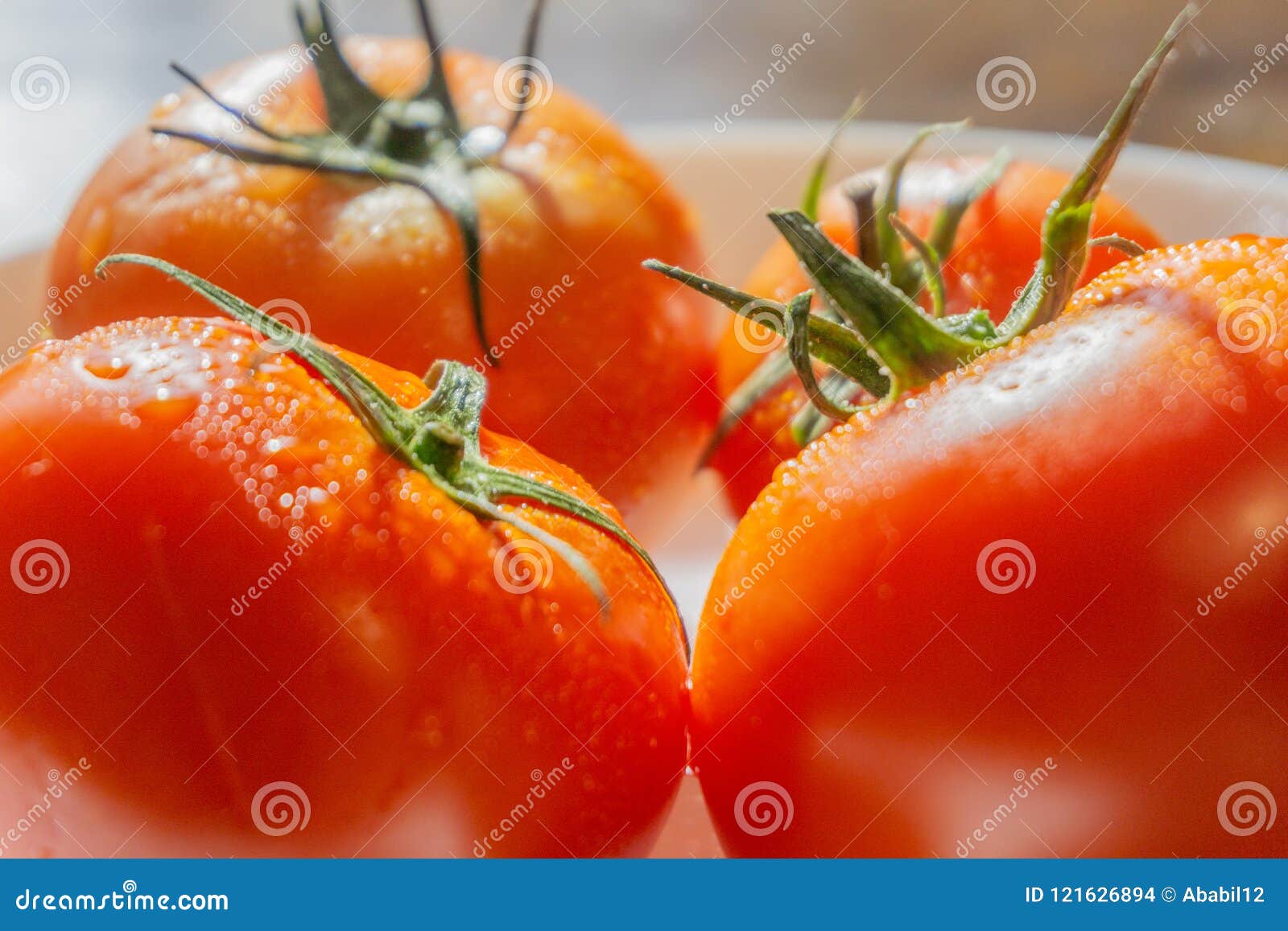 tomato focus