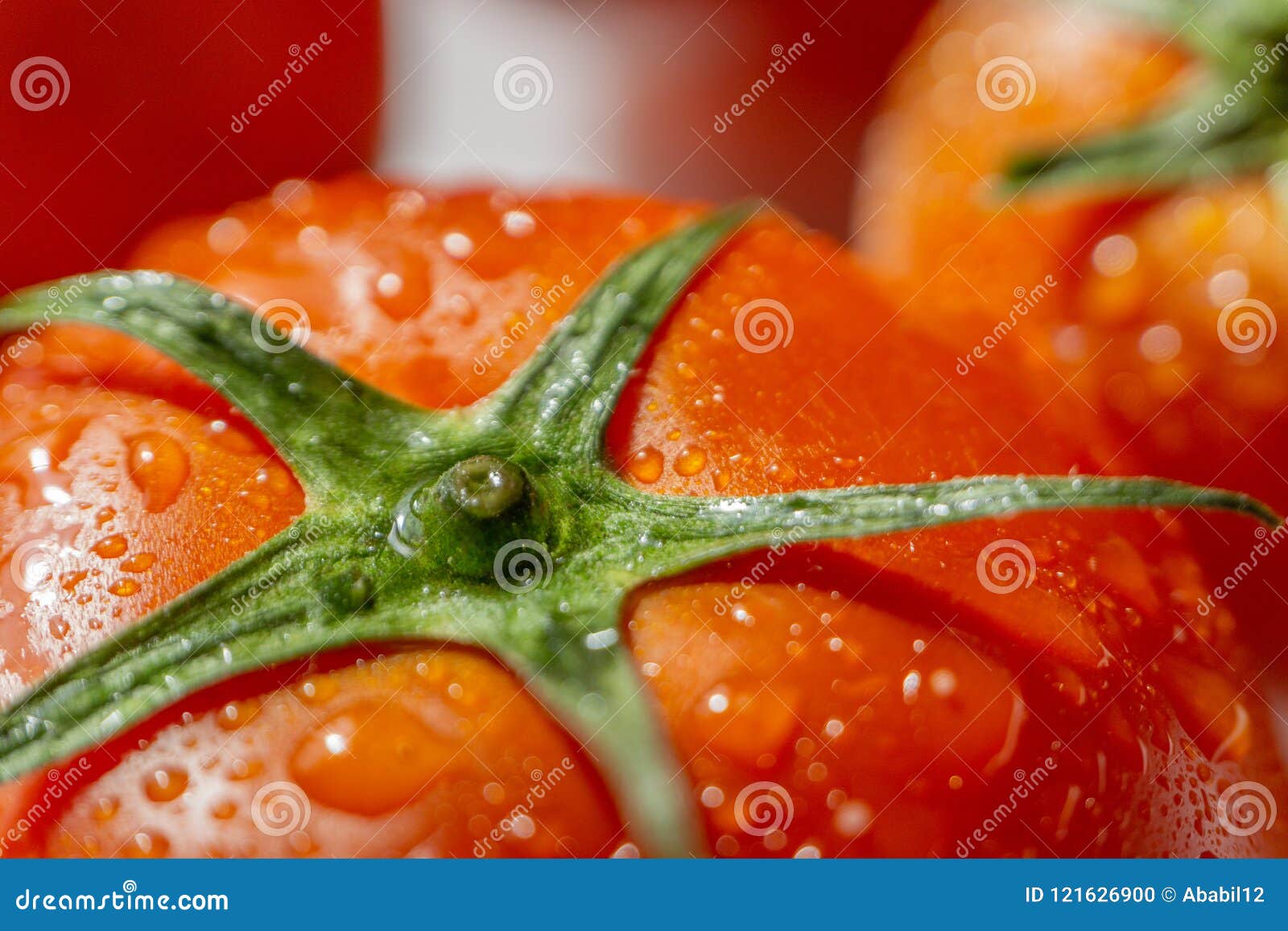 tomato be focused tomato be focused