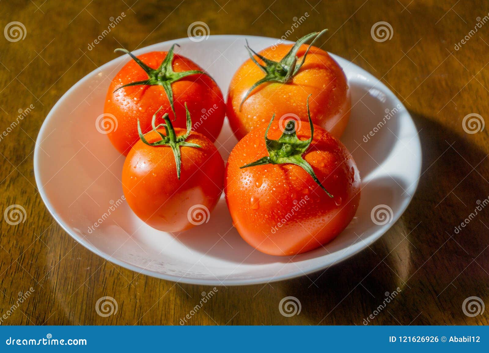 tomato focus tomato focus