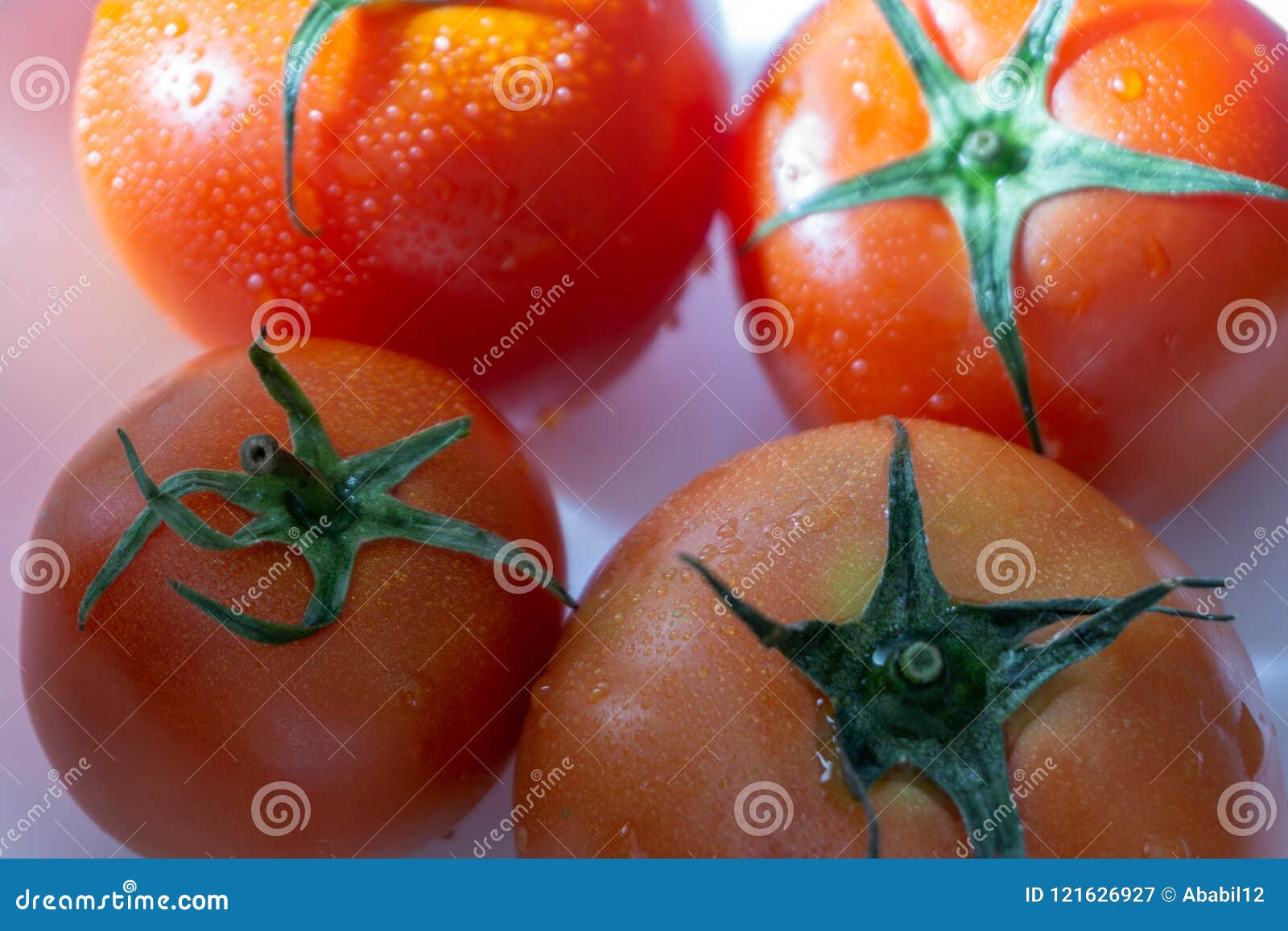 focus tomato focus tomato