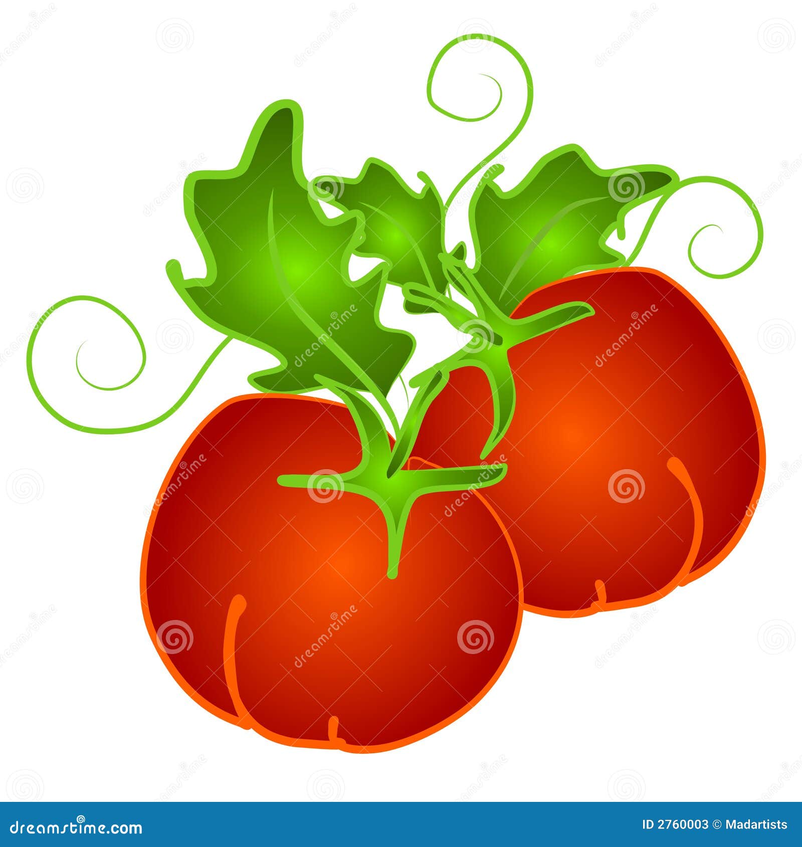 Red Tomatoes on Vine Clip Art Stock Illustration Illustration of