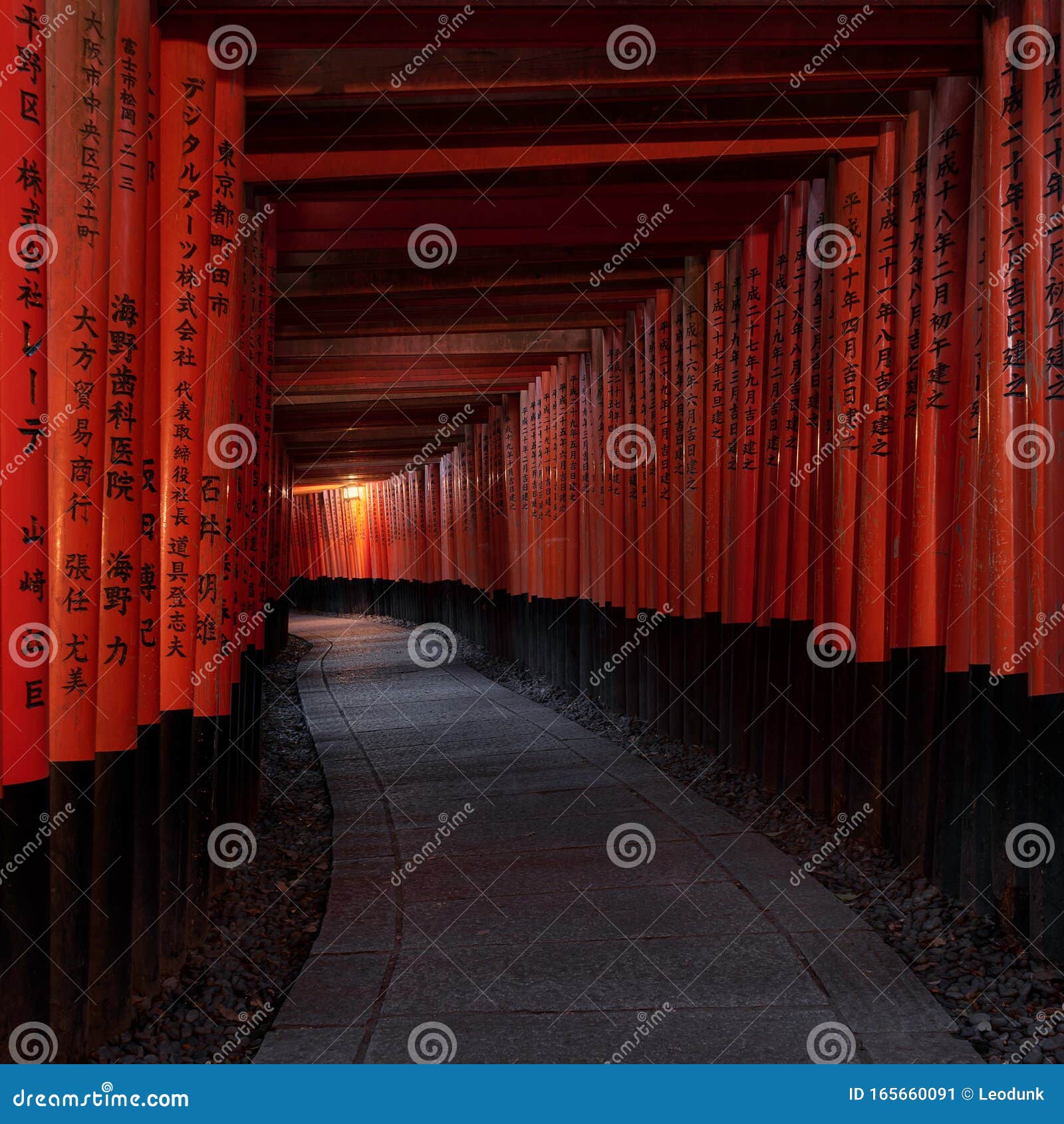 My Image 12