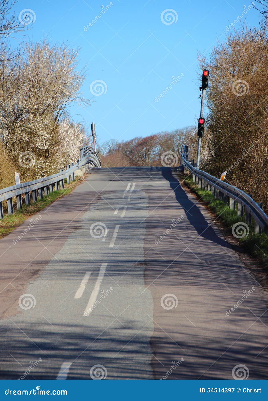 Red Traffic Lights at Dead End Asphalt Road Stock Image Image of