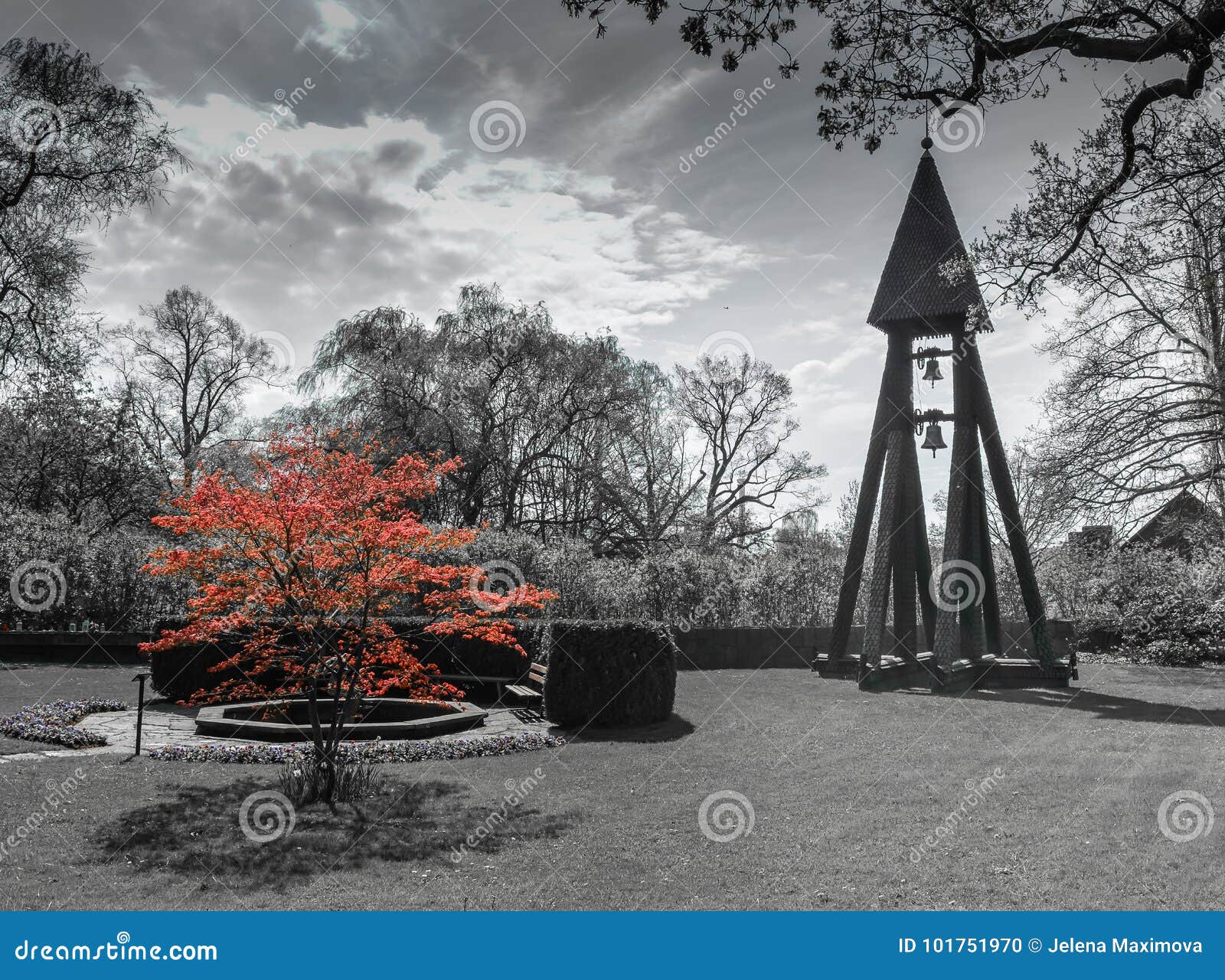 Red Tree In Black And White Nature Background Color In