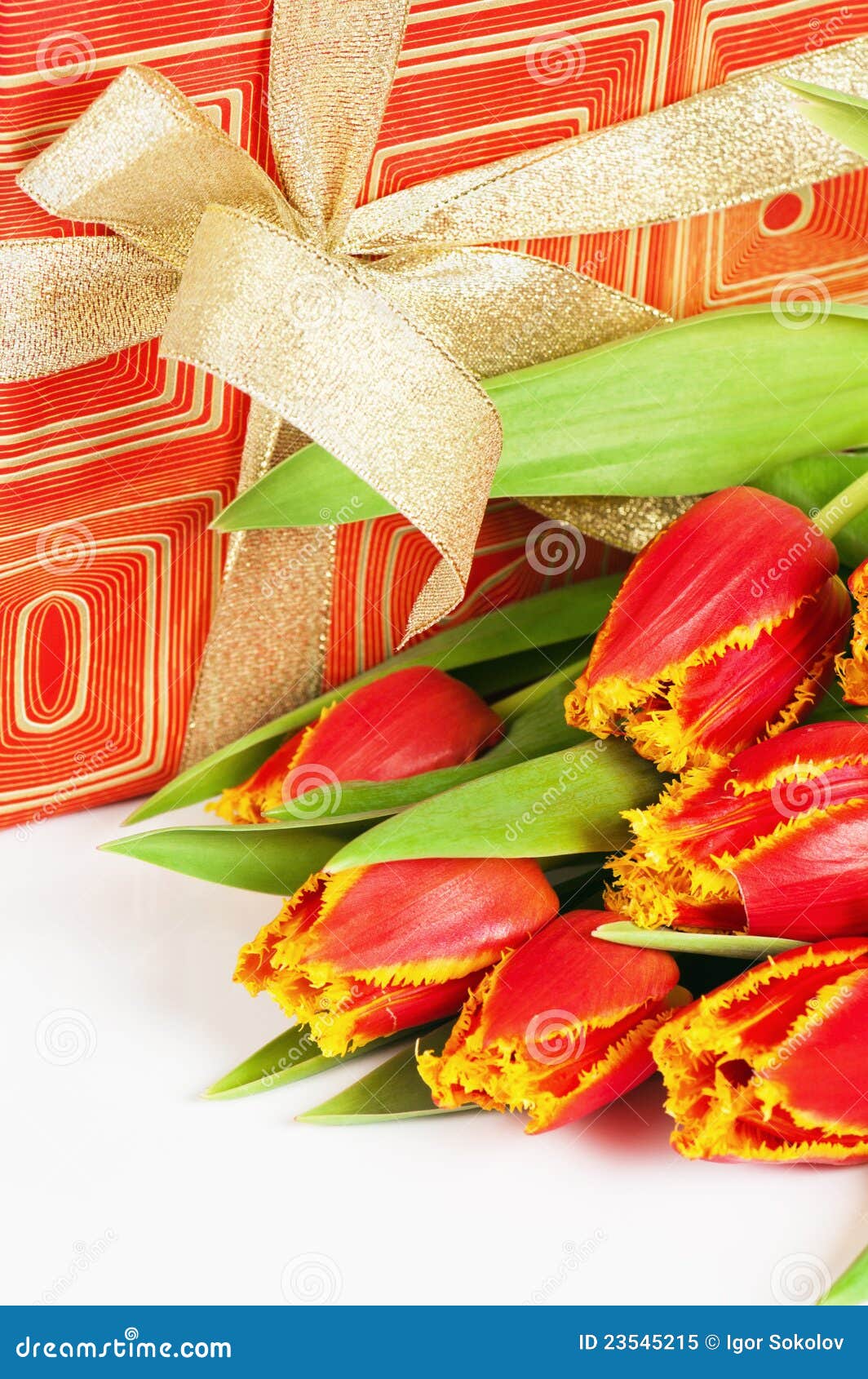 Red tulip and gift box stock image. Image of holiday 23545215