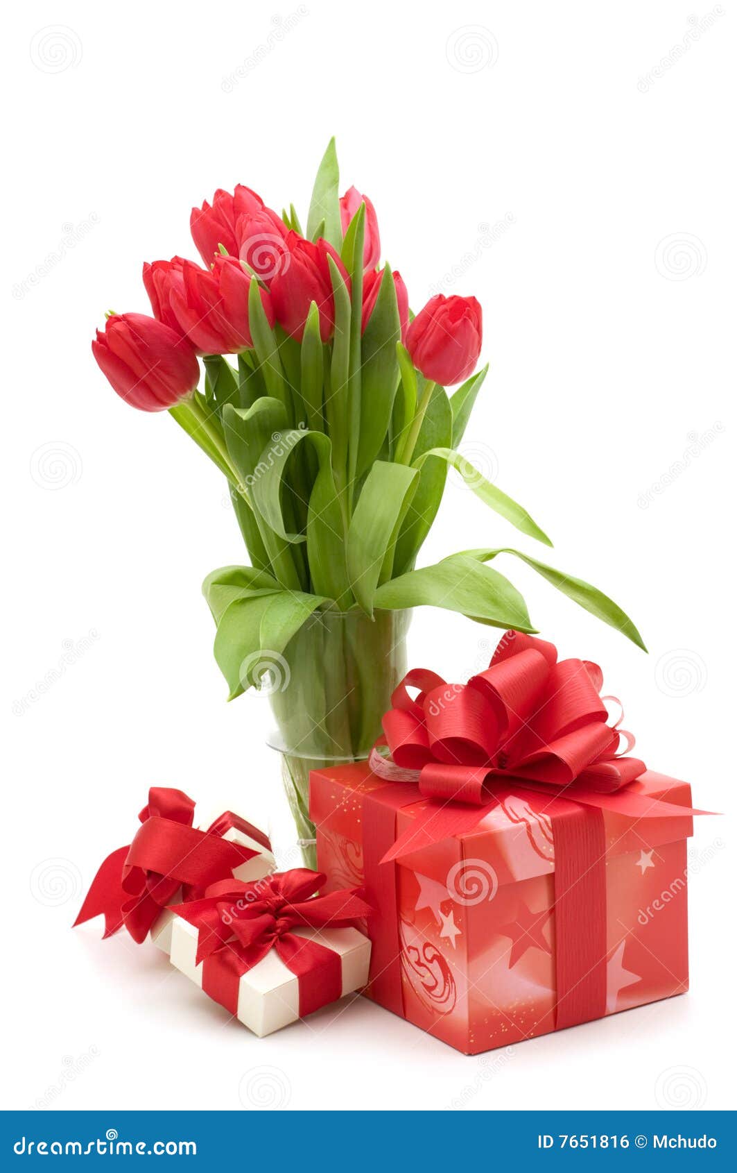 Red tulip and gift box stock photo. Image of holiday, celebrate 7651816