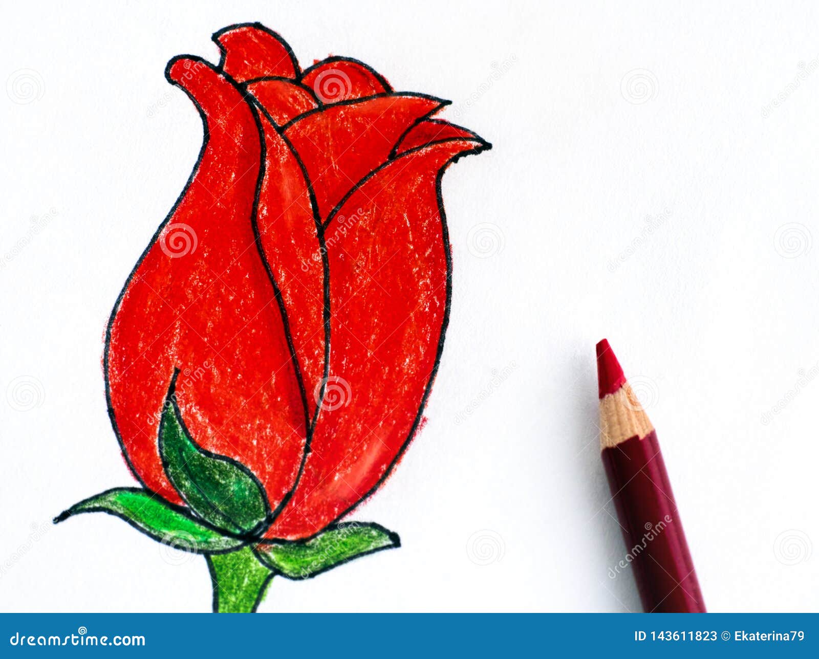 Featured image of post Flowers Drawing Pictures Pencil - Scroll create a classic scroll from your image drawn with pencil sketch create a pencil drawing from your picture sketch practicing transform your photo into a quick sketch made by an artist.