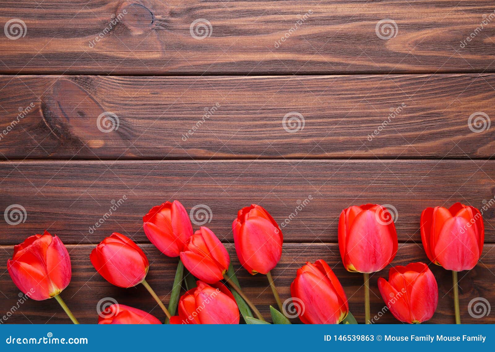 Red Tulips on a Brown Wooden Background Stock Image Image of easter