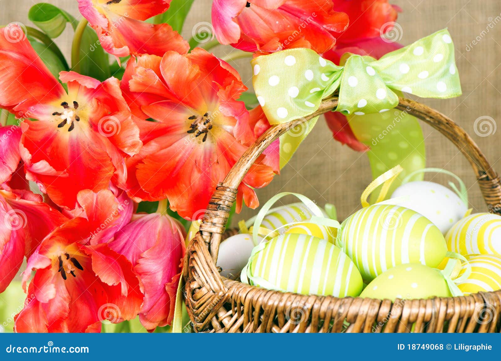 Red Tulips with Easter Eggs Stock Photo Image of ribbon, painted