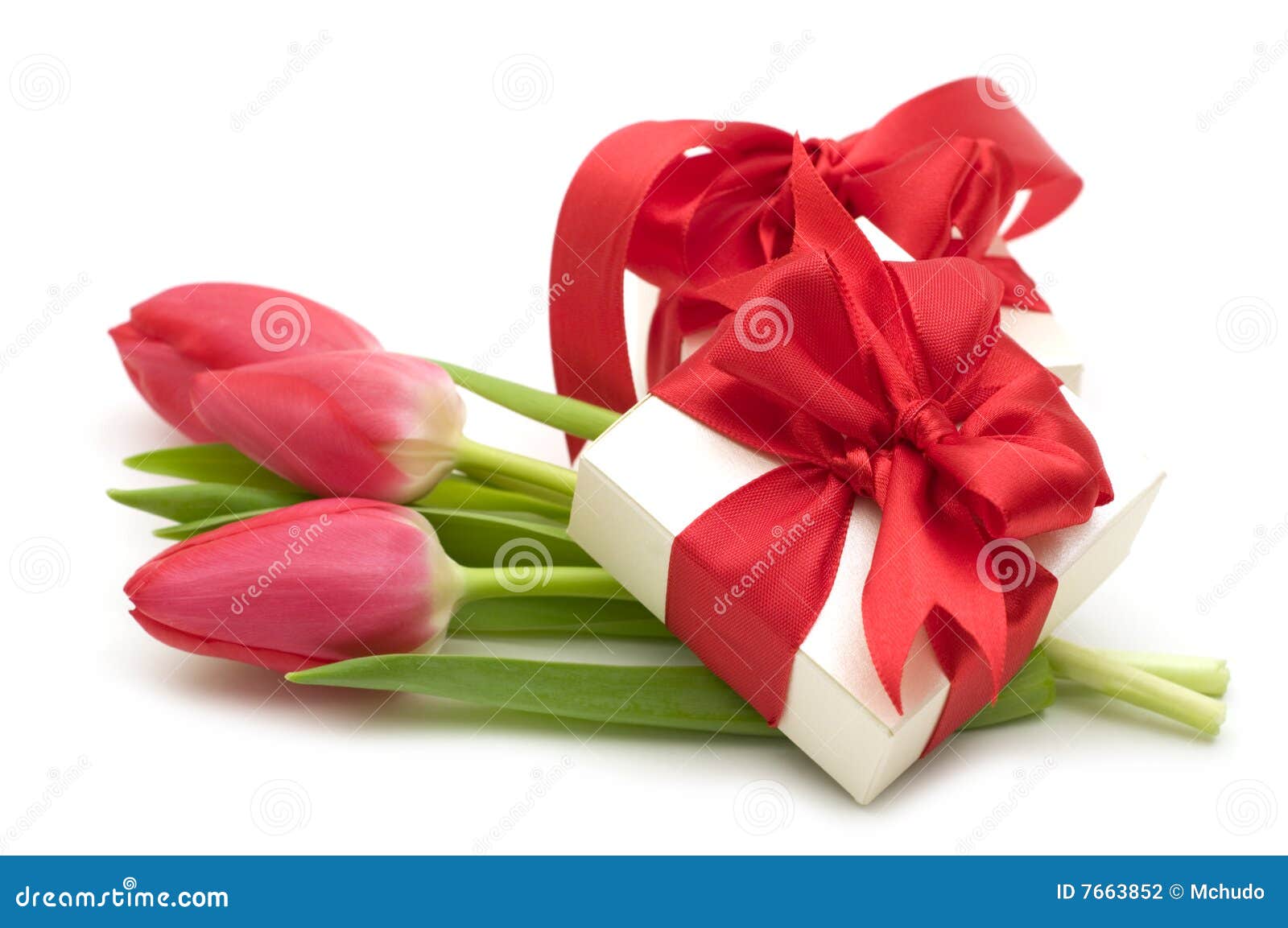 Red tulips and gift box stock photo. Image of tulip, flower 7663852