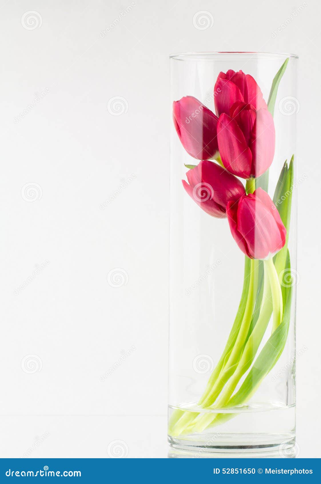 Red Tulips in Tall Glass Vase Stock Photo Image of flowers, floral 52851650