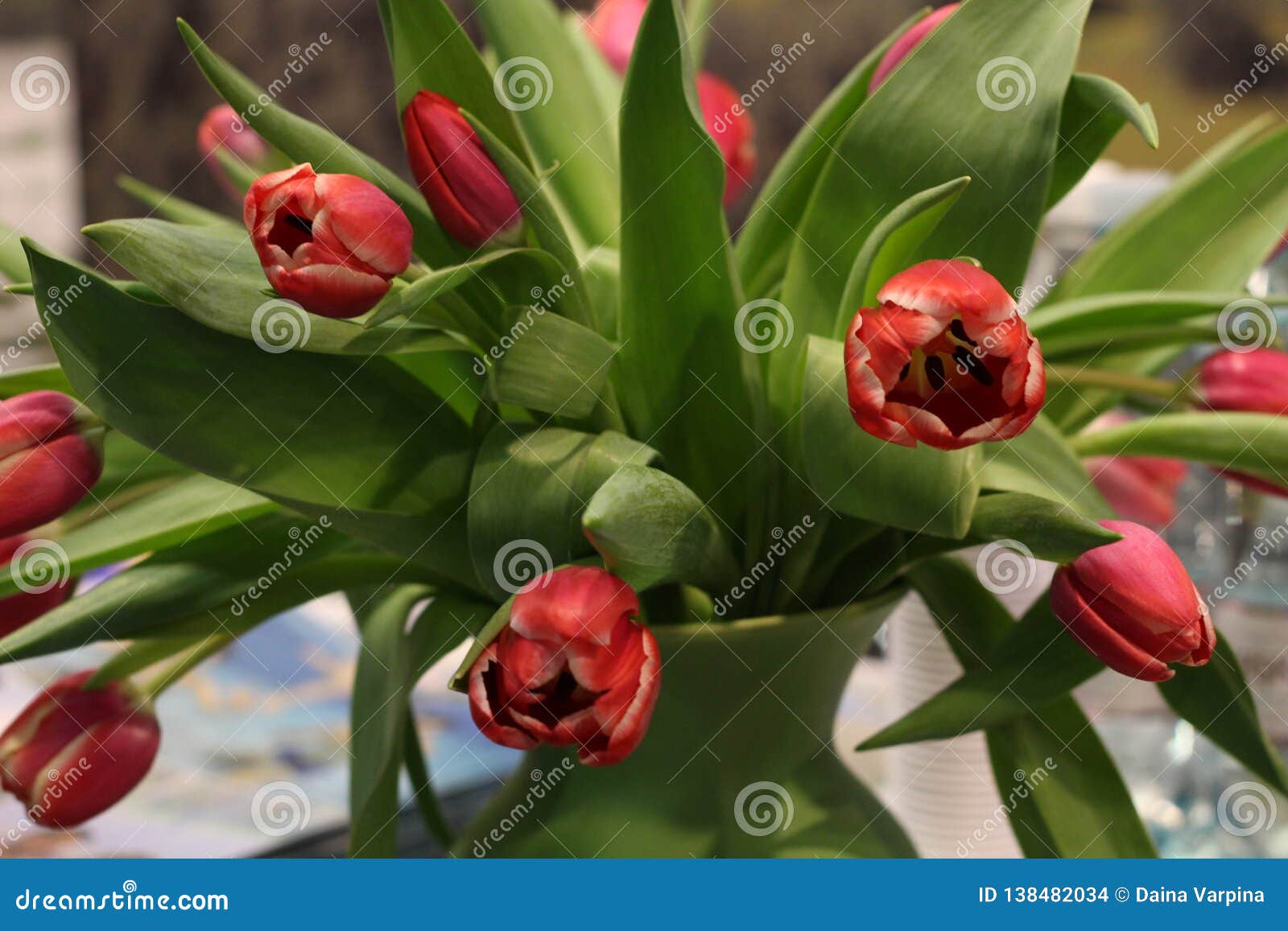 Red Tulips in a Vase. a Sweet and Simple Expression of Love. Stock ...