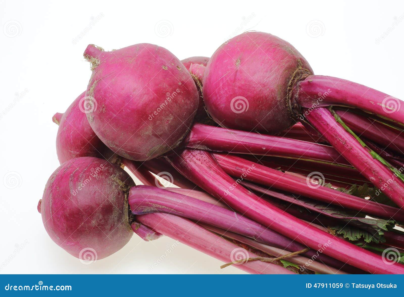 Red turnip stock image. Image of vegetables, ingredient 47911059
