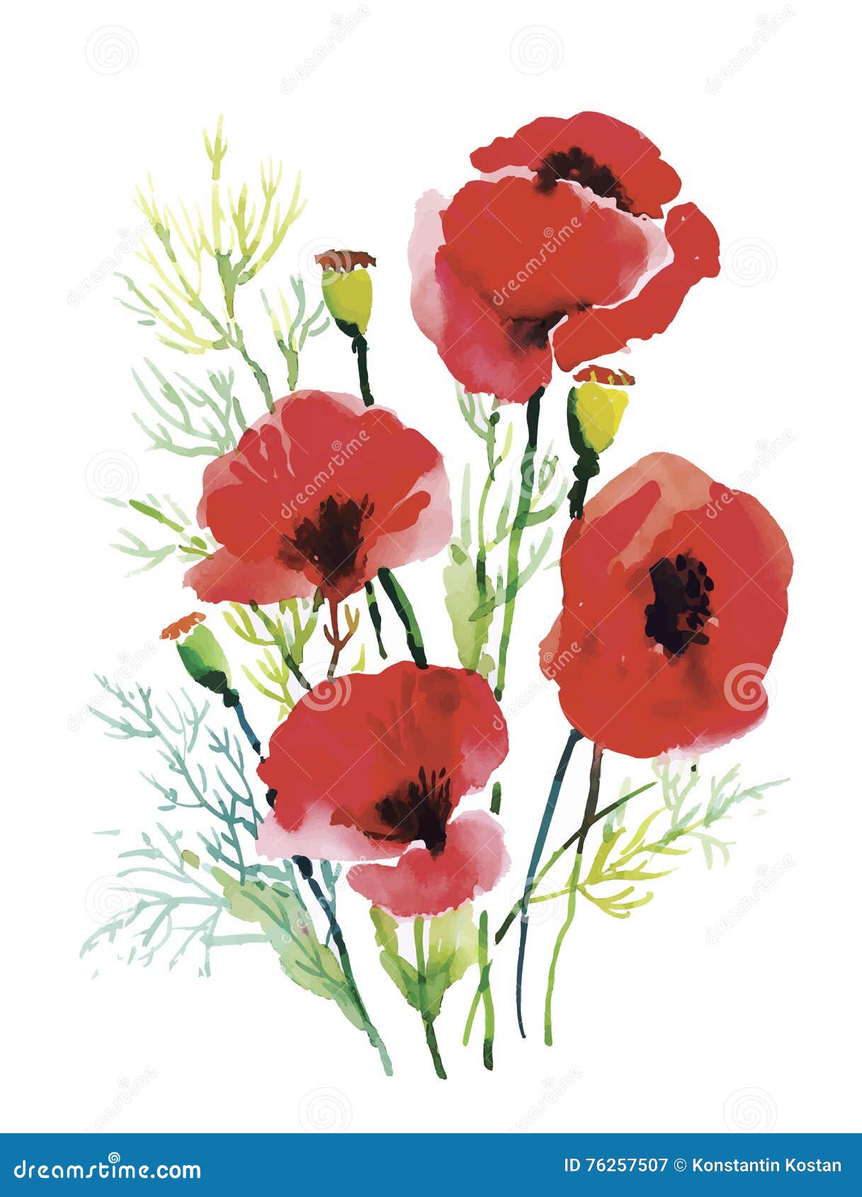 Red Watercolor Poppies Flowers on White Background. Stock Vector ...