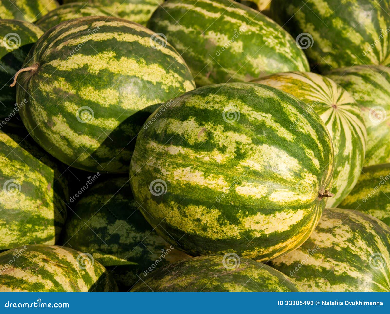 Red watermelons stock photo. Image of berries, diet, fall 33305490