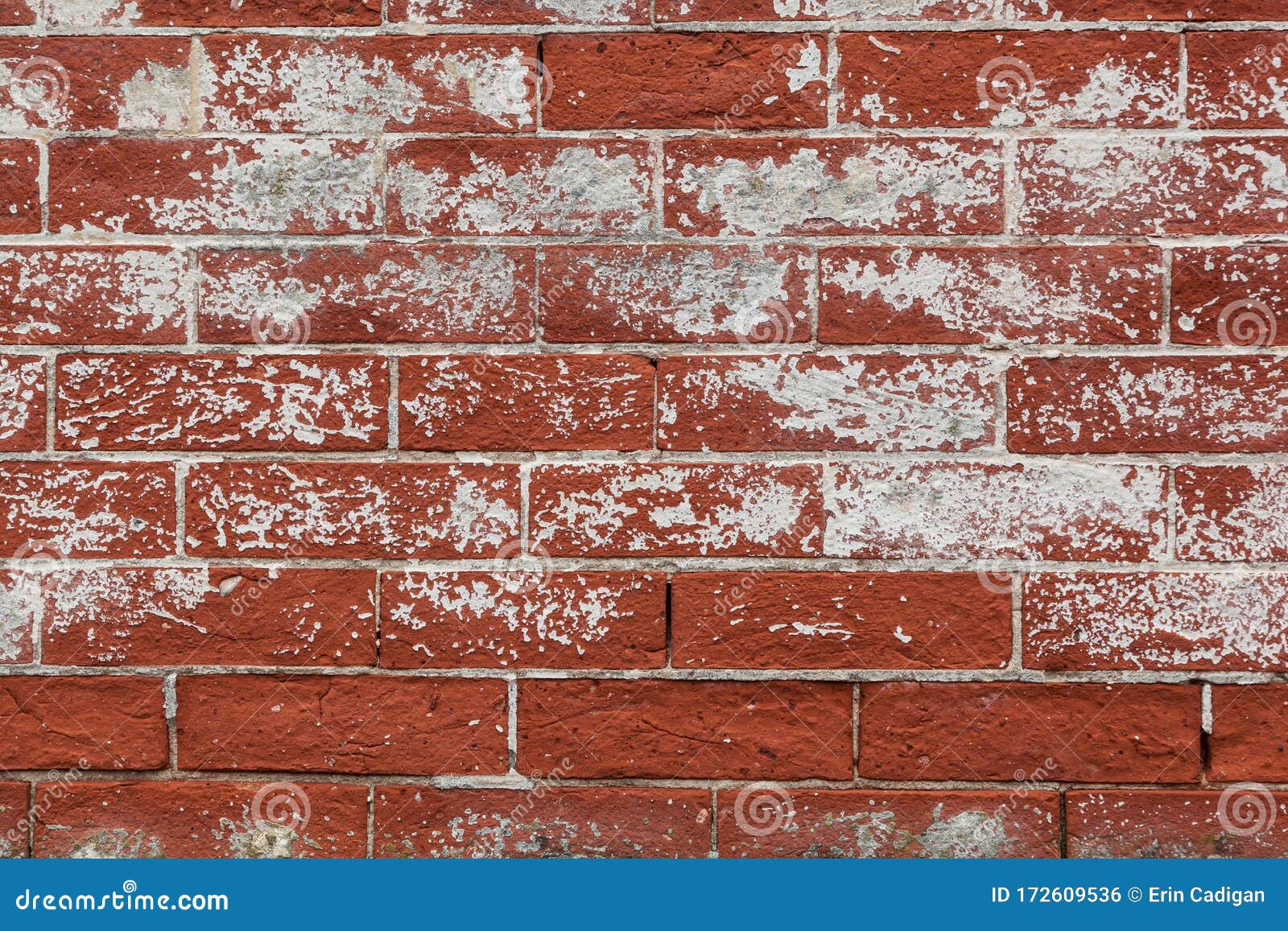 Red Weathered Brick Background with White Paint Spots Stock Photo - Image  of fascade, details: 172609536