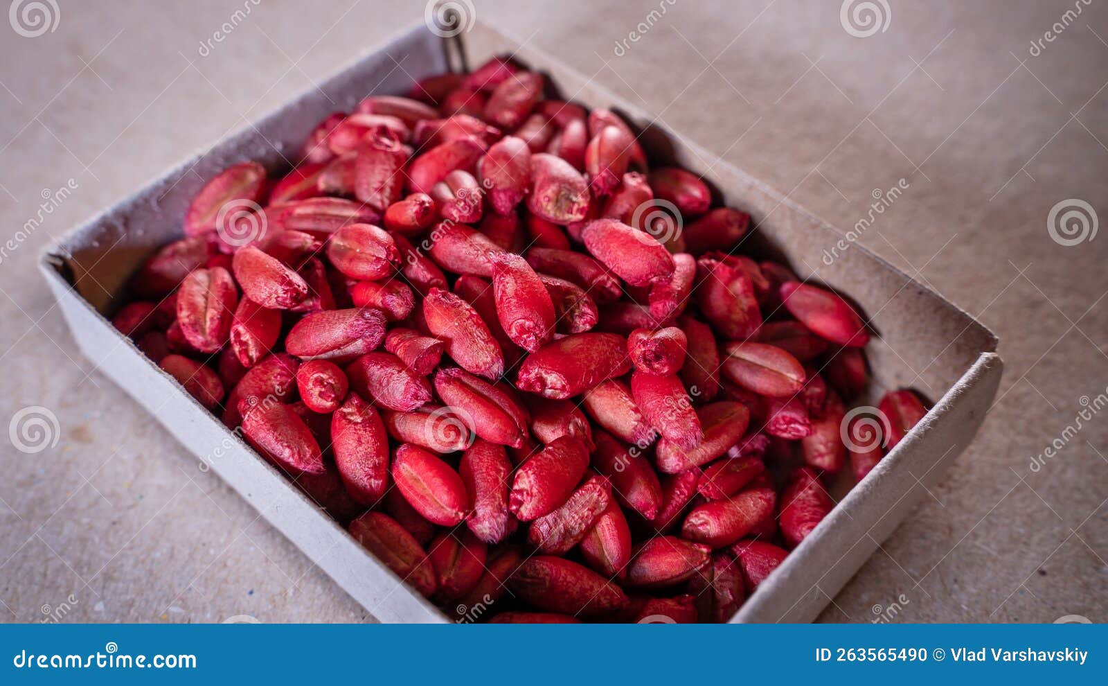 Red Wheat Poison from Rats and Mice Close Up Stock Photo - Image of