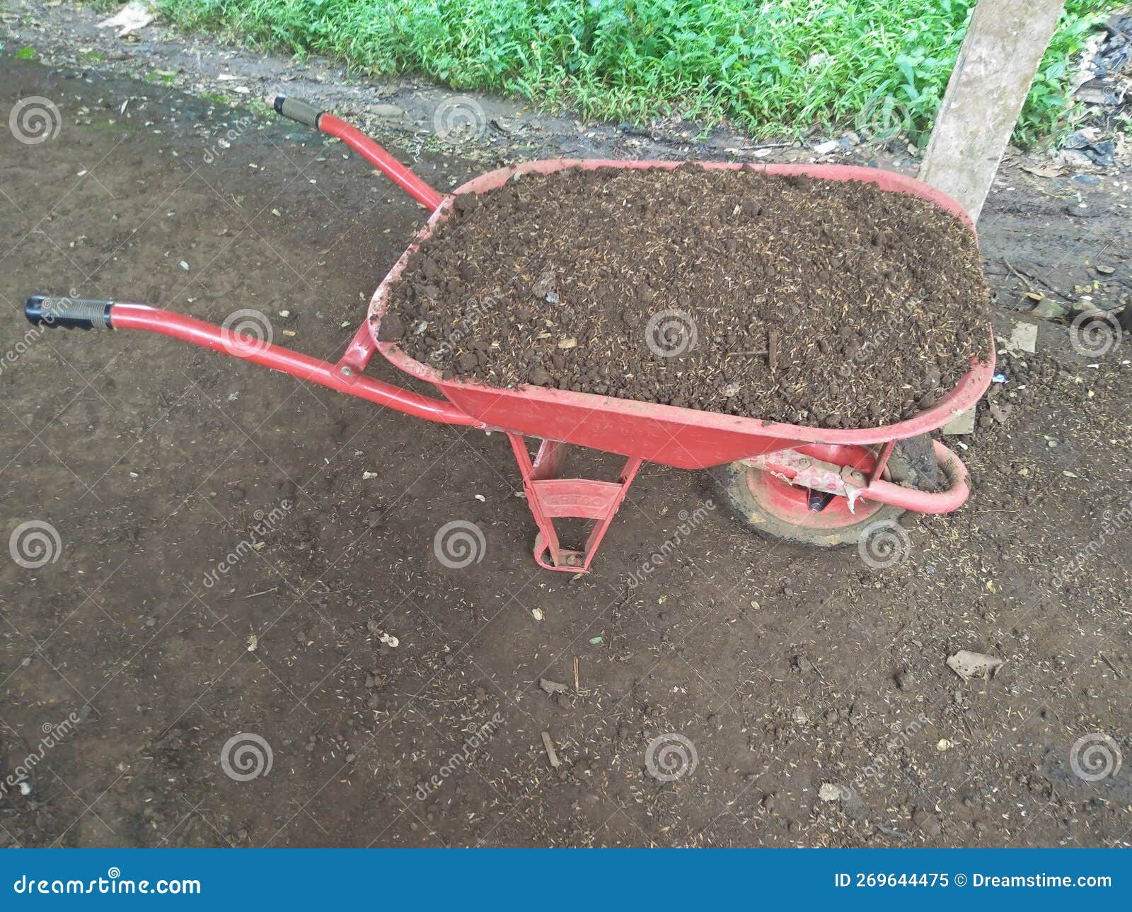 Red Wheelbarrow on farm editorial image. Image of farming 269644475