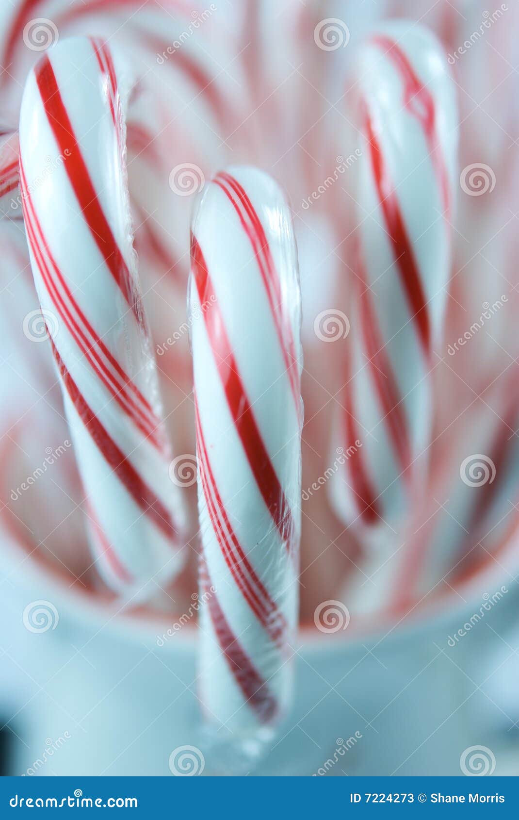 https://thumbs.dreamstime.com/z/red-white-candy-canes-christmas-cup-7224273.jpg