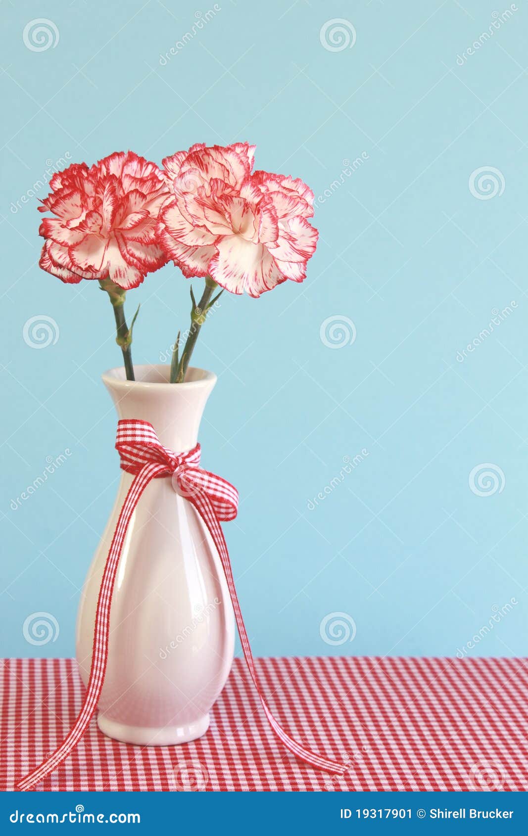 Red and White Carnations in a Vase Stock Image Image of tablecloth