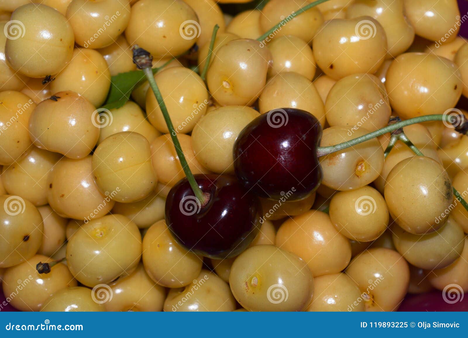 Red and white cherries stock image. Image of bowl, color 119893225