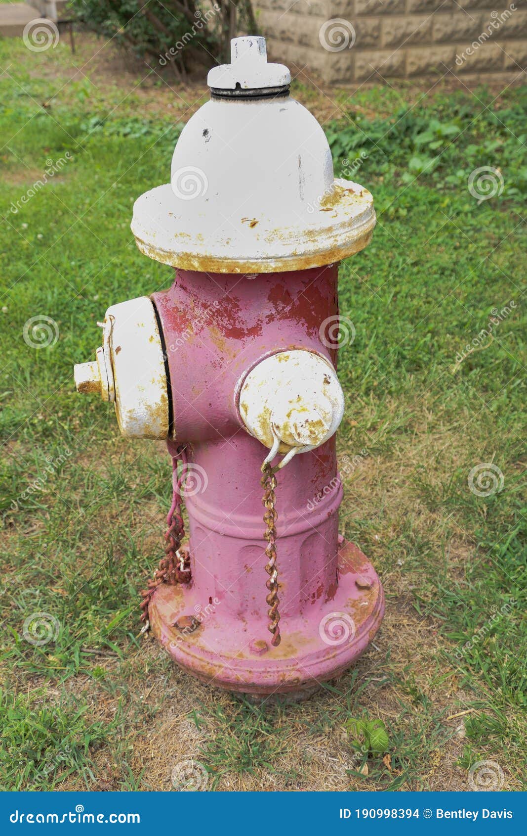 Red and white fire hydrant stock photo. Image of though 190998394