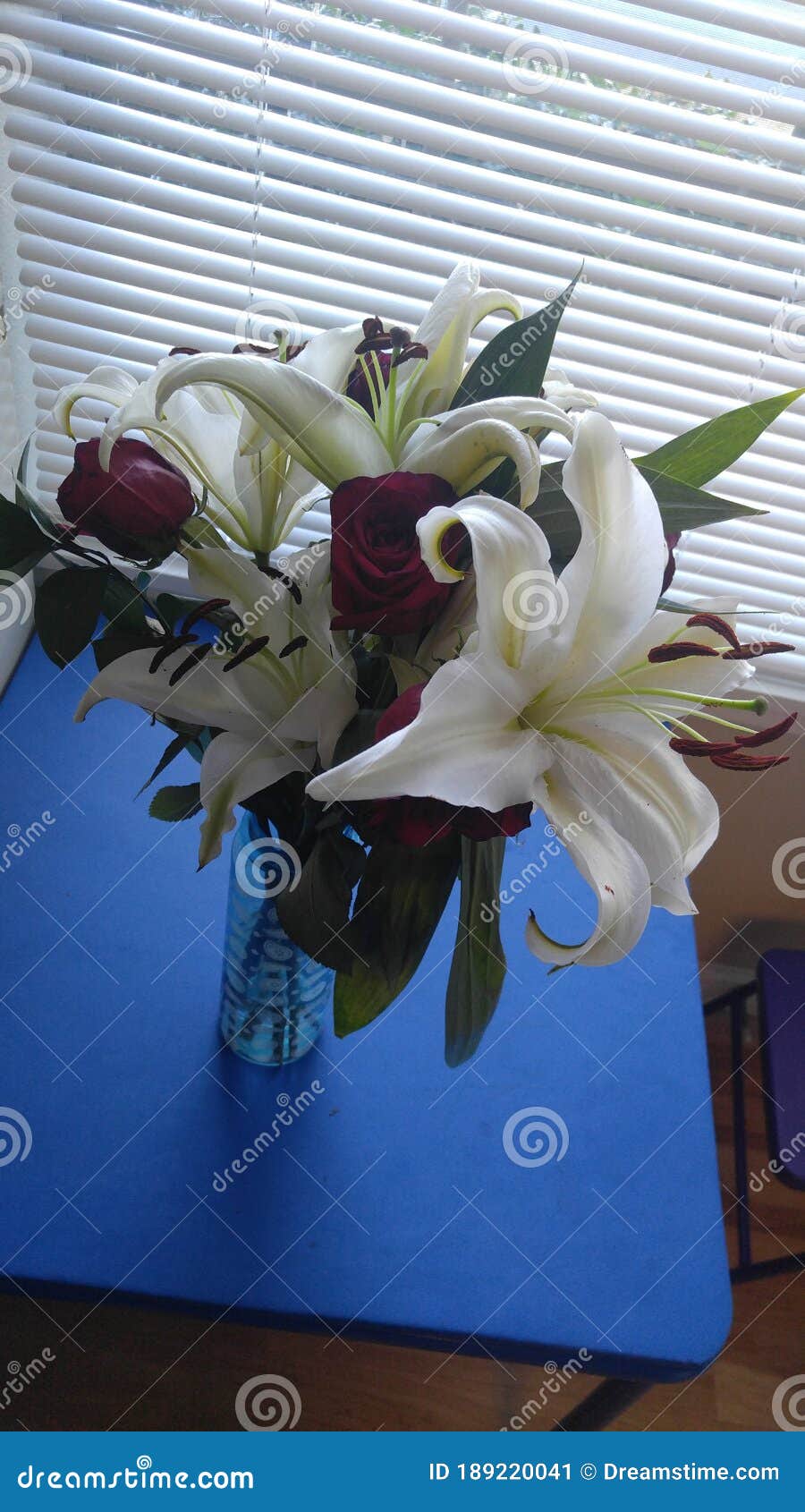 Red and White Flowers in Bloom Stock Image Image of orchid