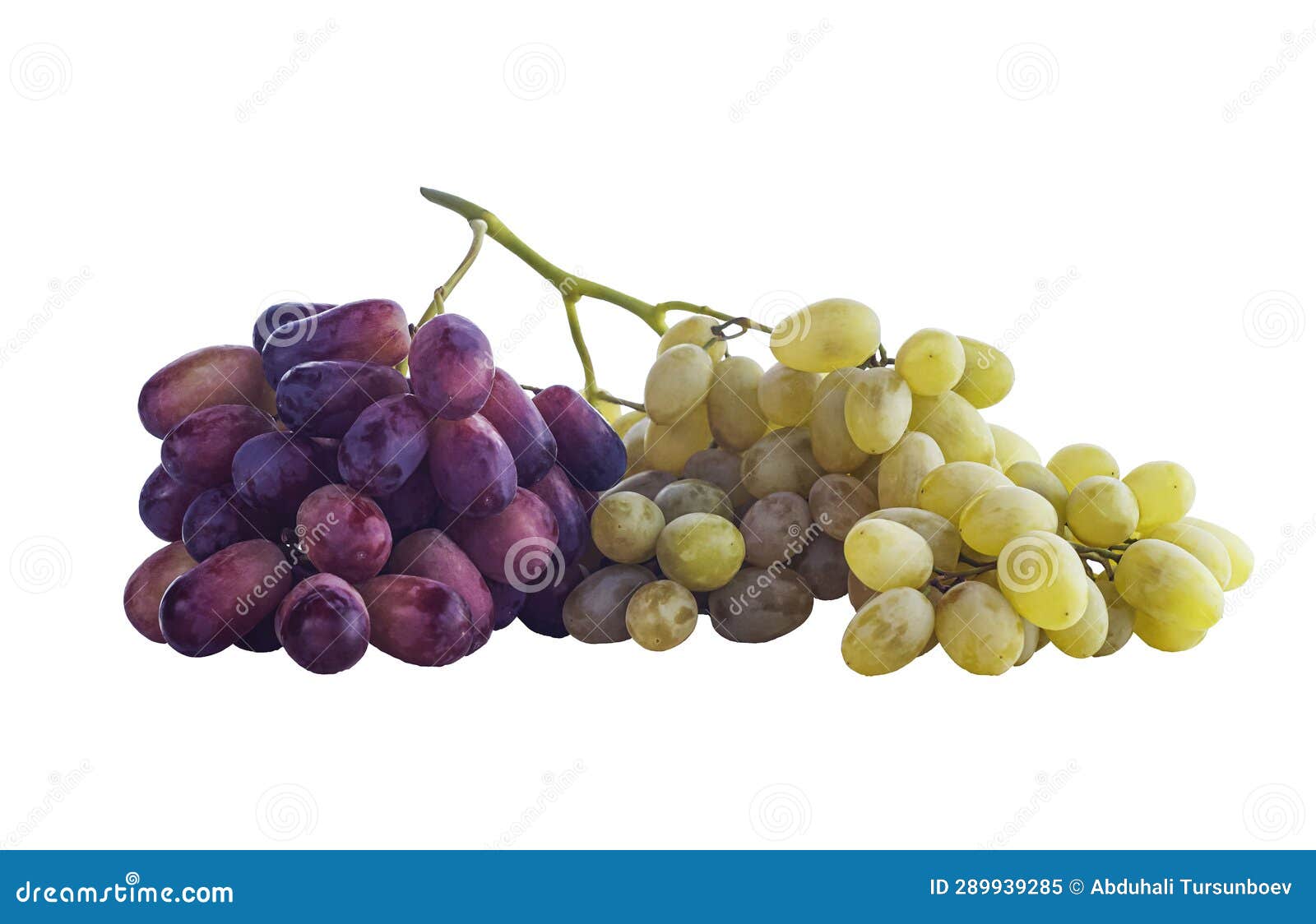 Red and White Grapes on a White Background Stock Image Image of
