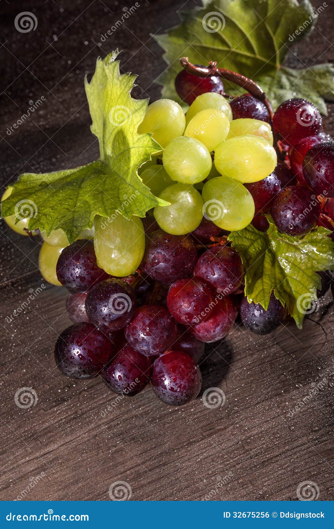 Red and white grapes stock photo. Image of purple, grapevine 32675256