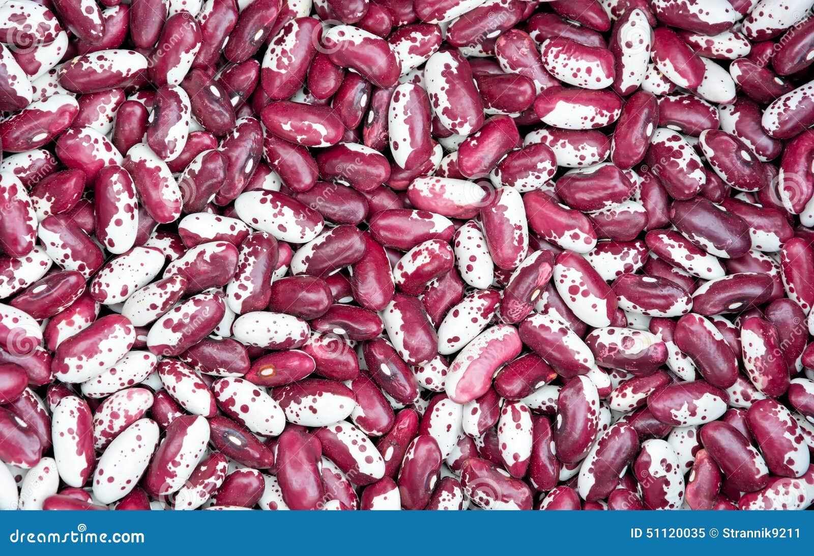 Red white kidney beans. stock image. Image of vegetarian 51120035