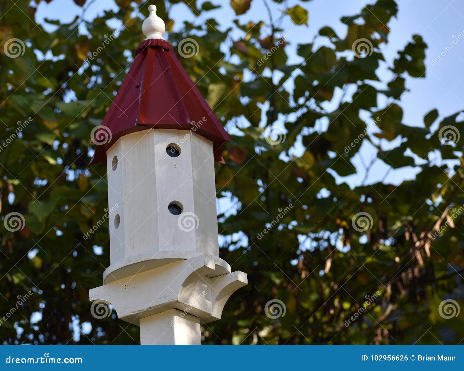 Pole mounted birdhouse stock photo. Image of object 102956626