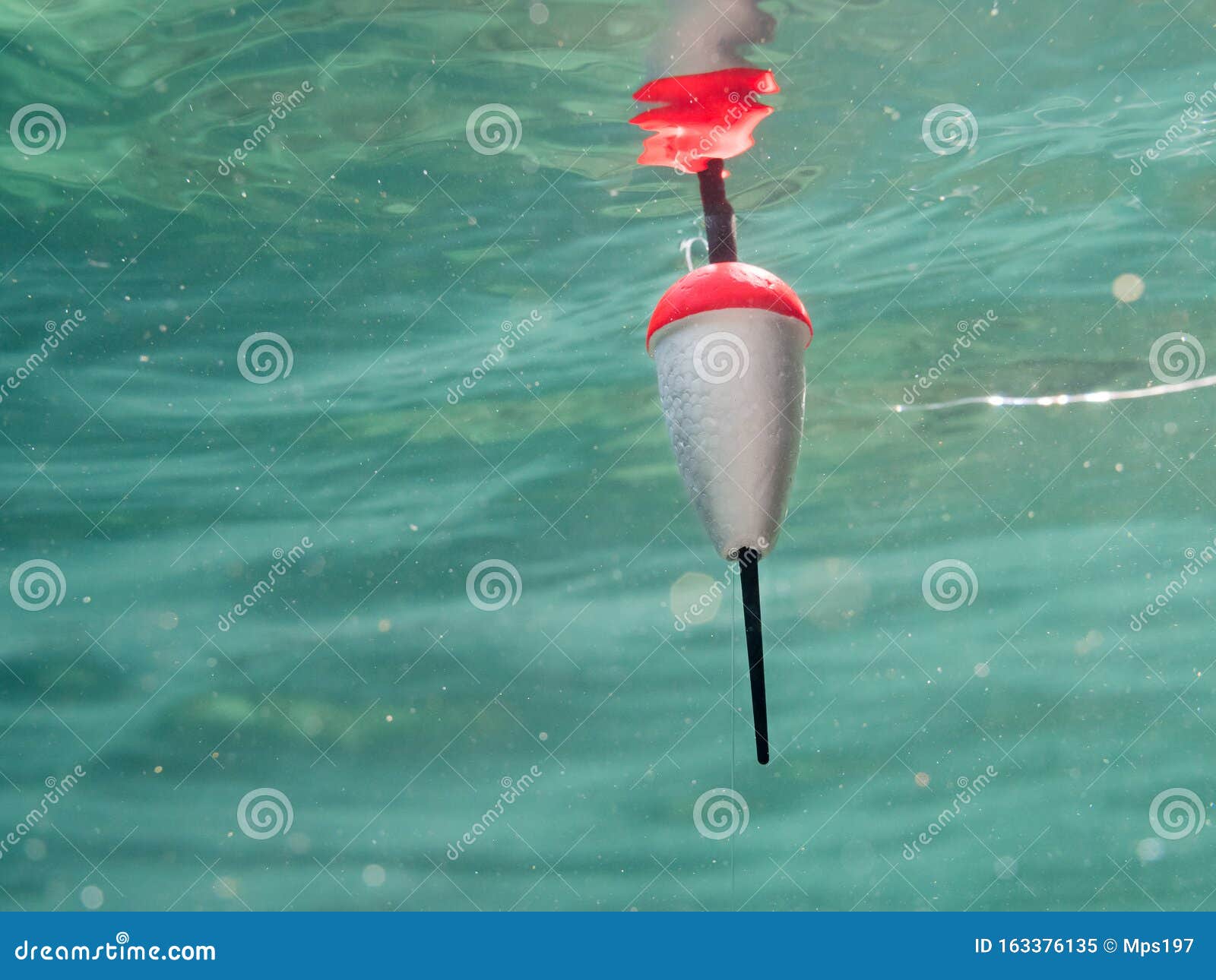 Polystyrene Fishing Float Pulled Underwater Stock Image - Image of line,  bait: 163376135