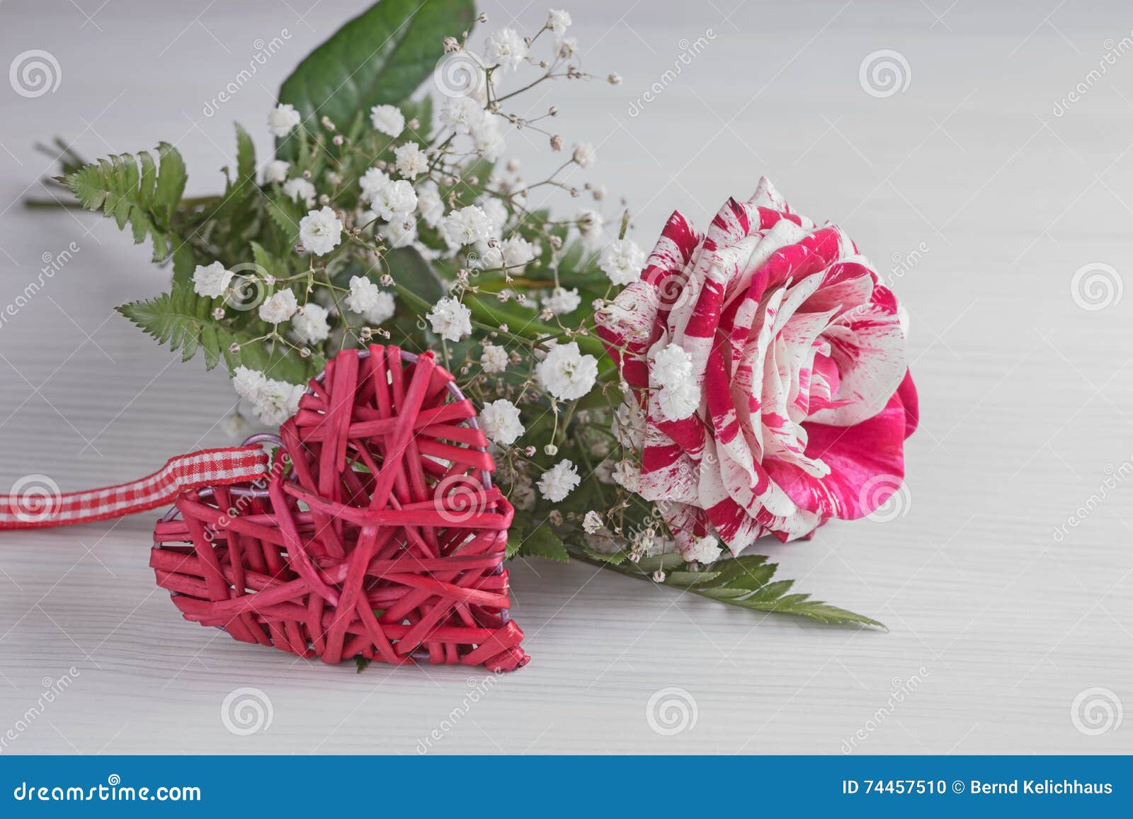 Red and White Rose with Heart Stock Photo Image of bright, beauty